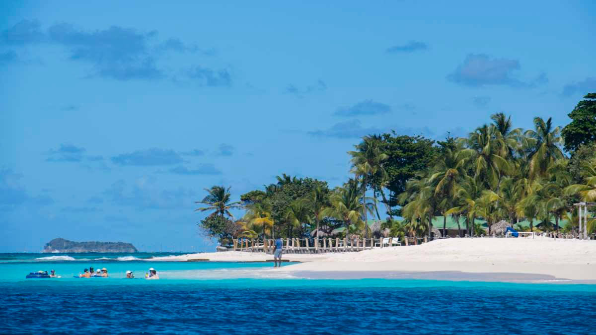 Pristine Beauty Of Palm Island Resort, St. Vincent And The Grenadines Background