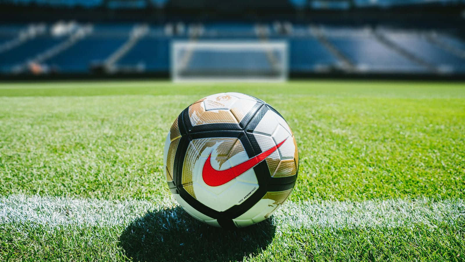 Pristine Soccer Ball On Green Grass Background