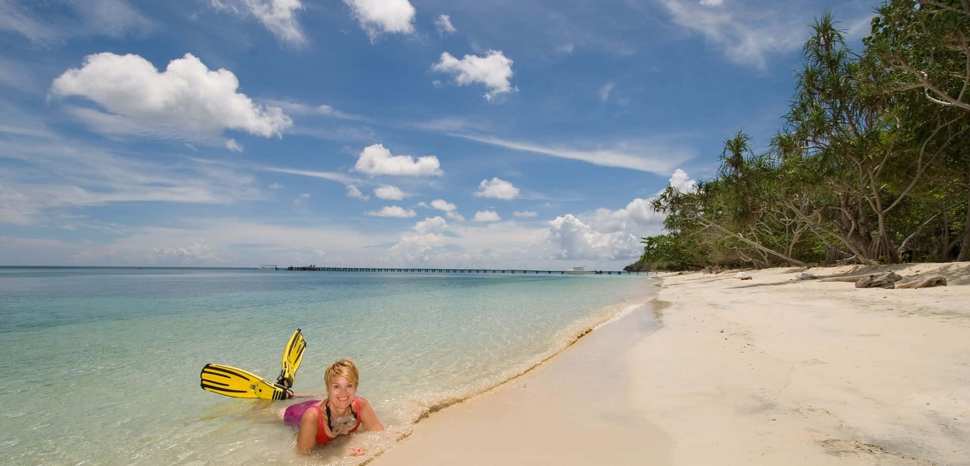 Private Beach In Sulawesi Background