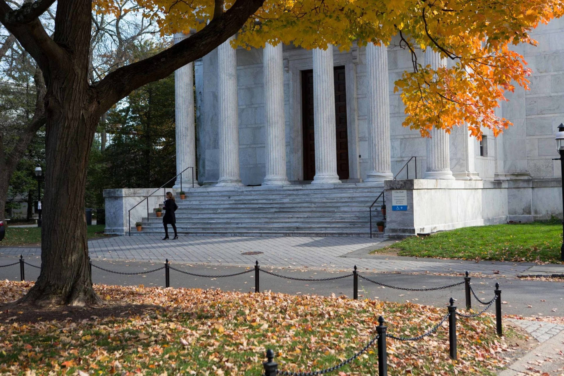 Private Museum Princeton University Background