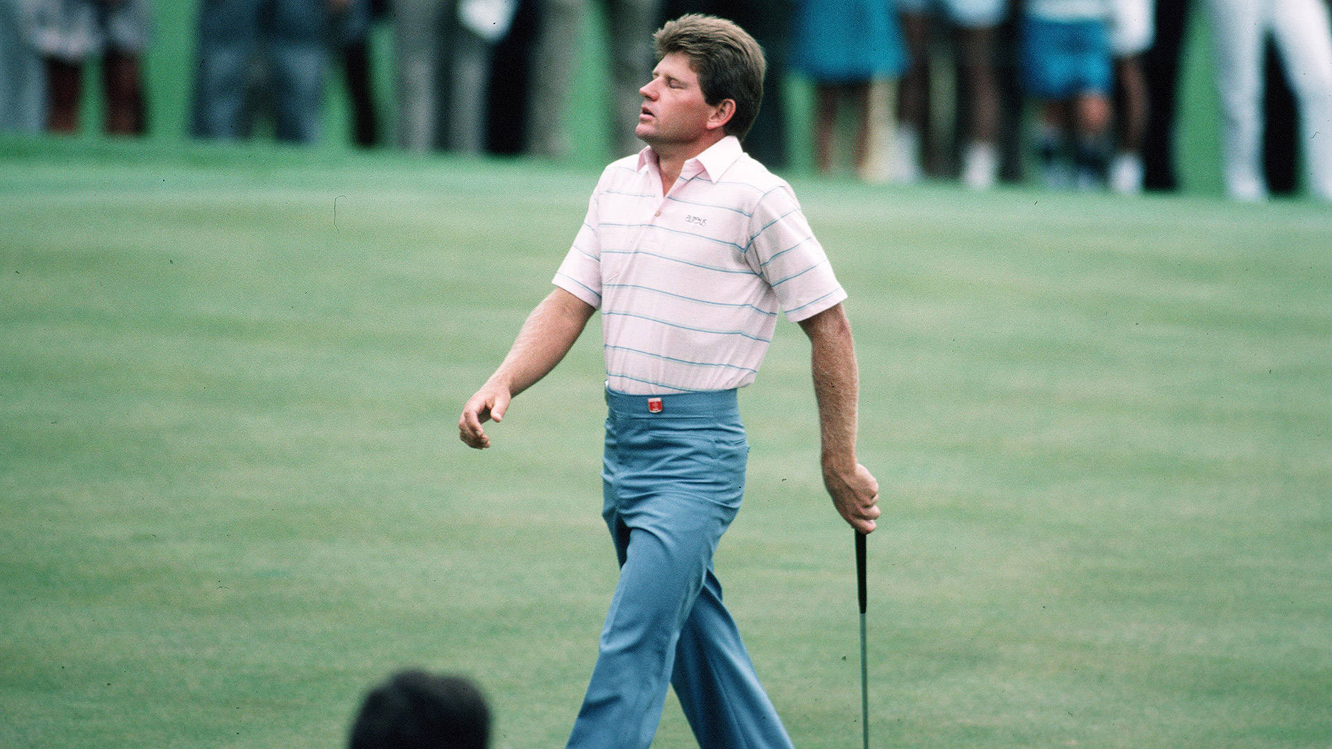 Pro Golfer Nick Price Background