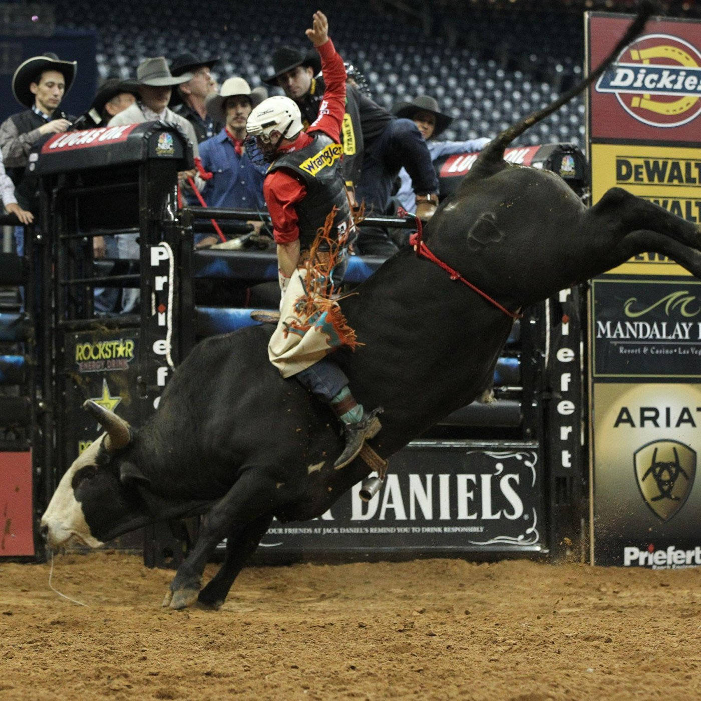 Pro Rider On Bull Riding Show Background