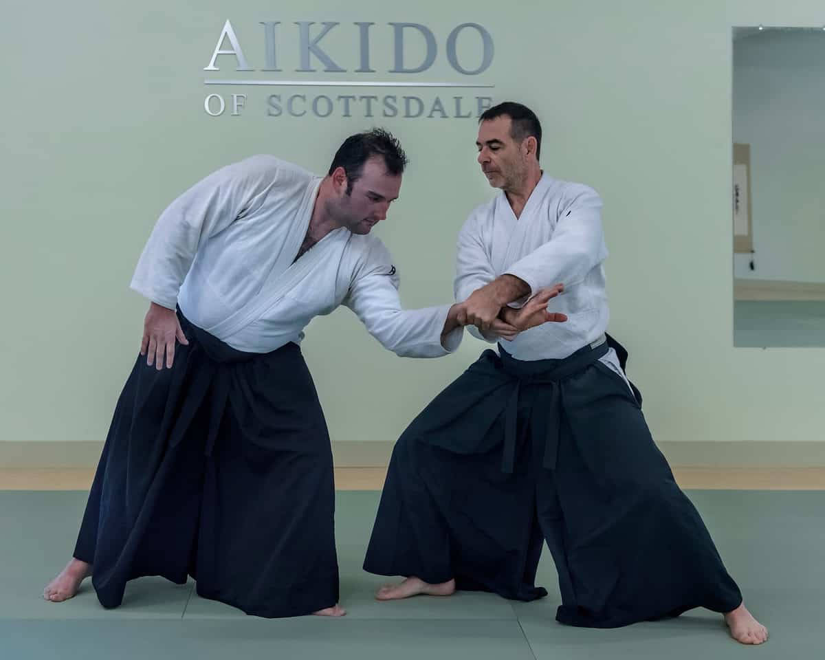 Professional Aikido Instructor Demonstrating The Nikyo Technique Background