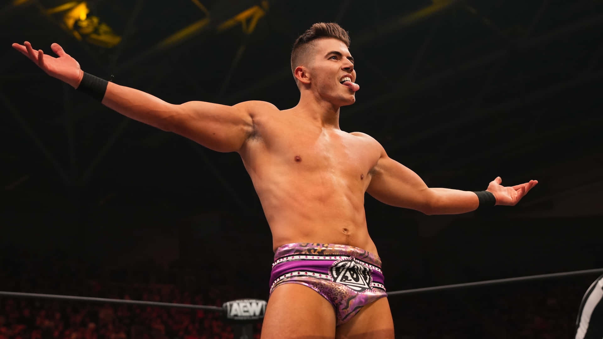 Professional American Wrestler Sammy Guevara Background