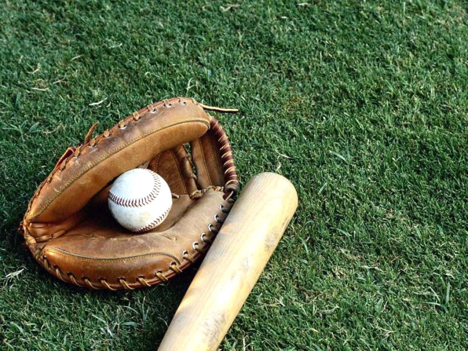 Professional Baseball Bat On Field Background