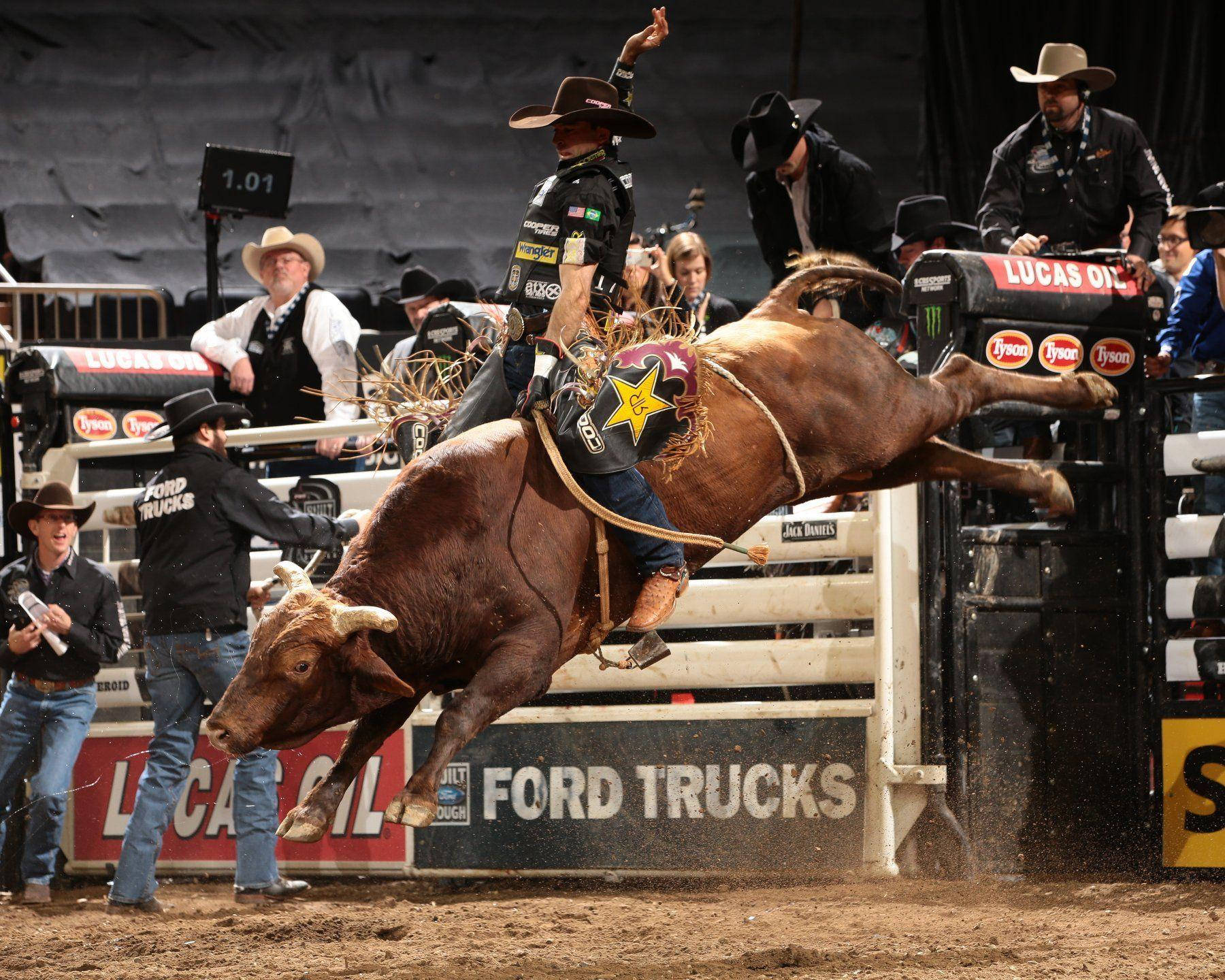 Professional Bull Rider Proudly Competing In An Arena Background