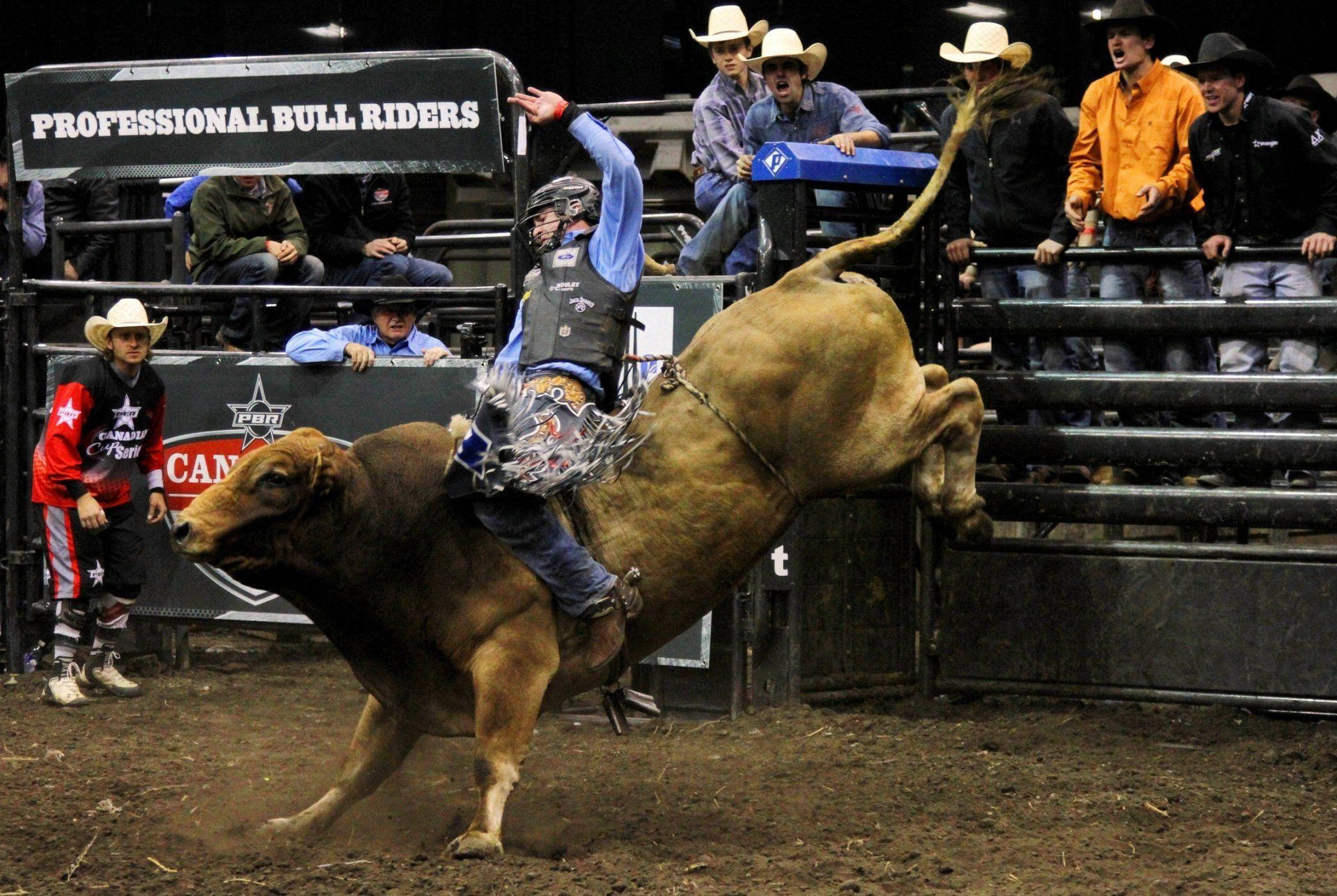 Professional Bull Riding Rodeo Background