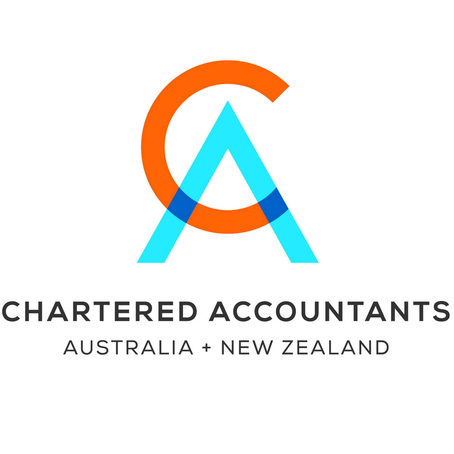 Professional Chartered Accountant Reviewing Financial Statements