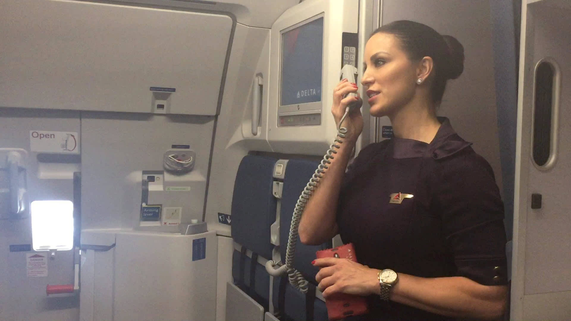 Professional Flight Attendant Inside Aircraft Cabin Background