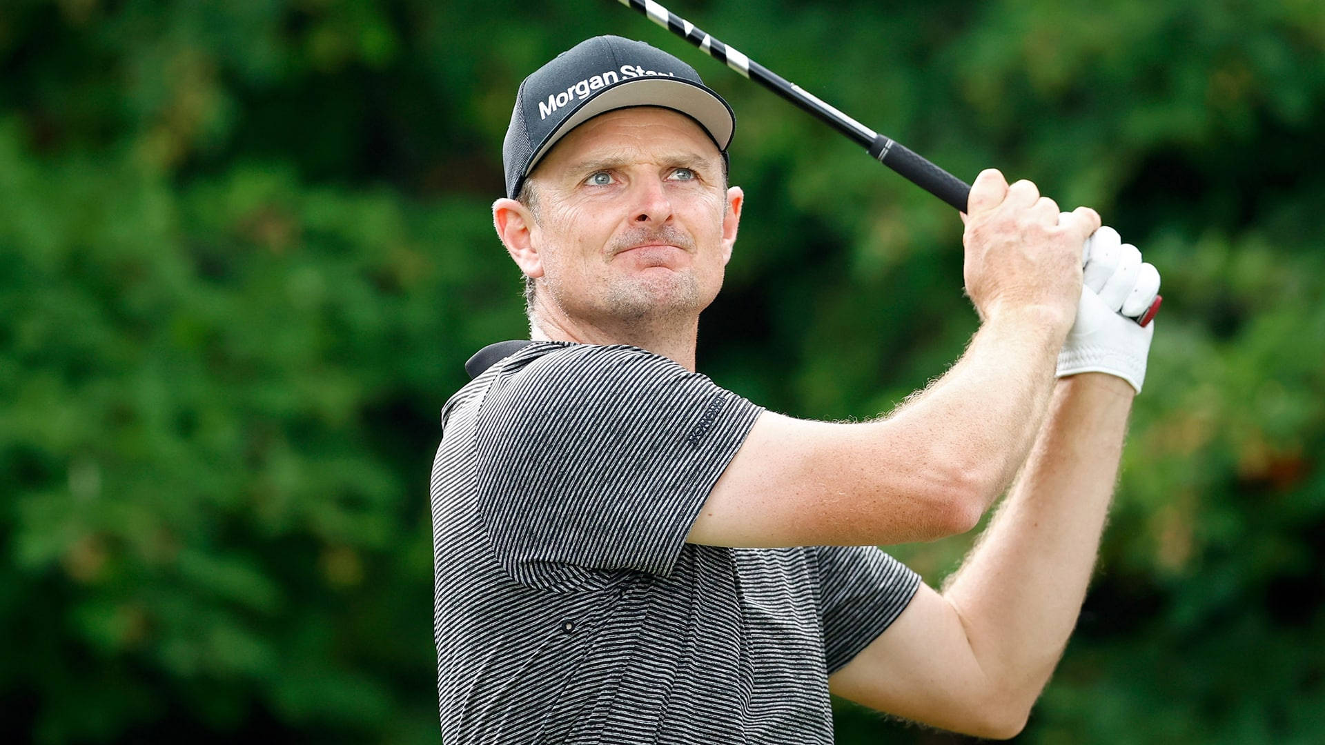 Professional Golfer - Justin Rose In Action