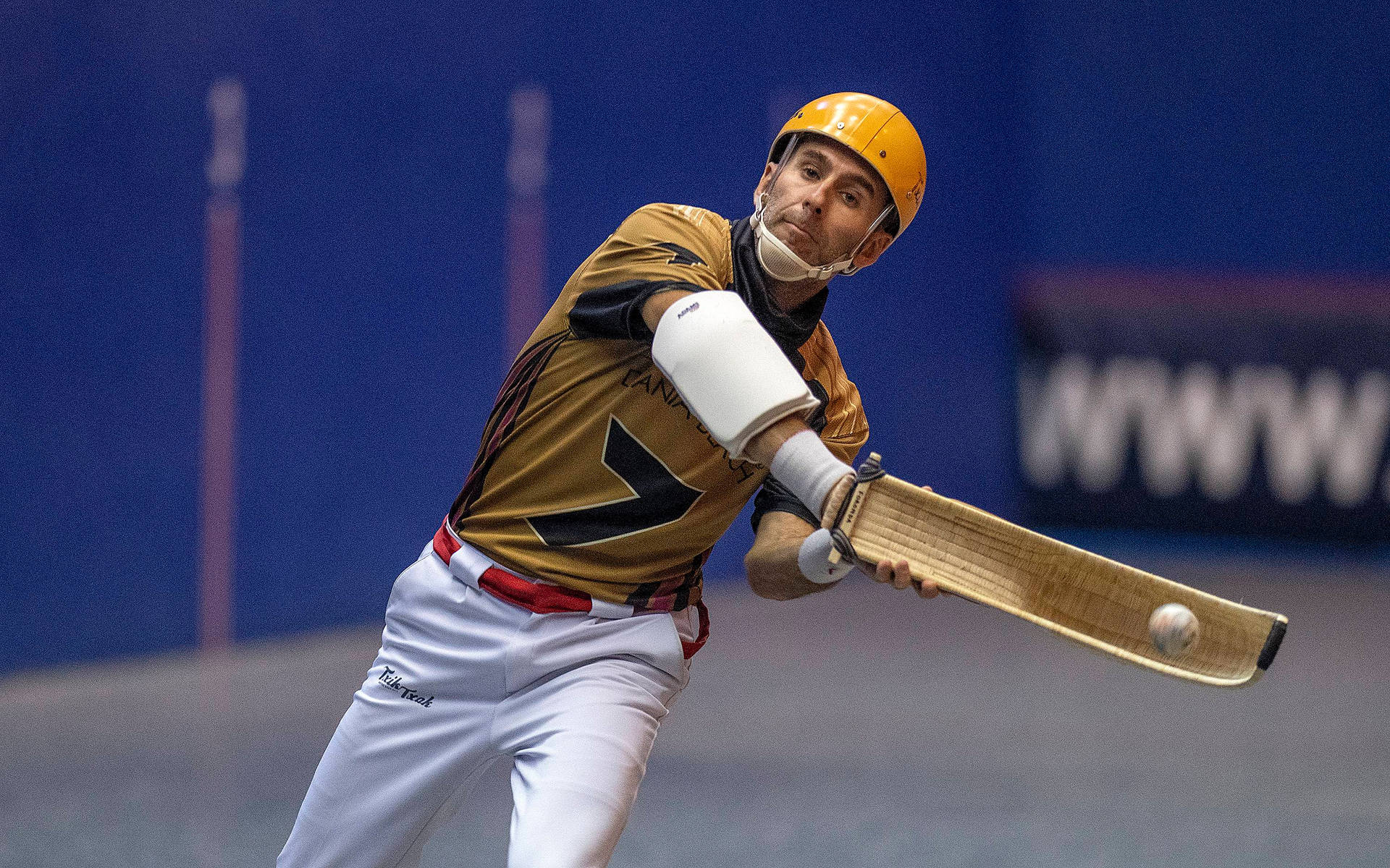 Professional Jai Alai Action Shot Background