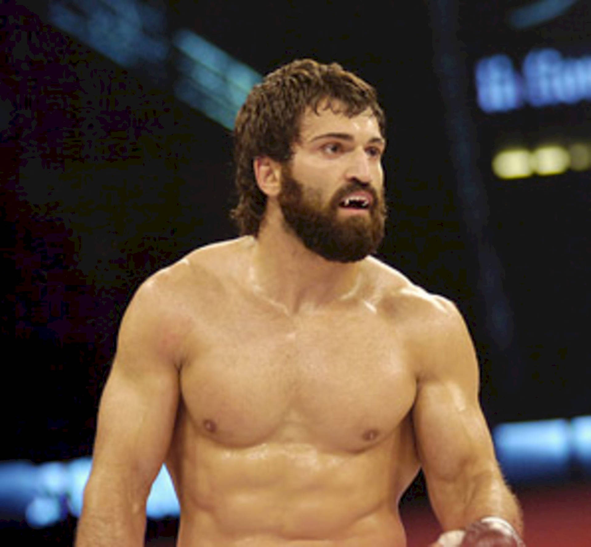 Professional Martial Artist Andrei Arlovski Background