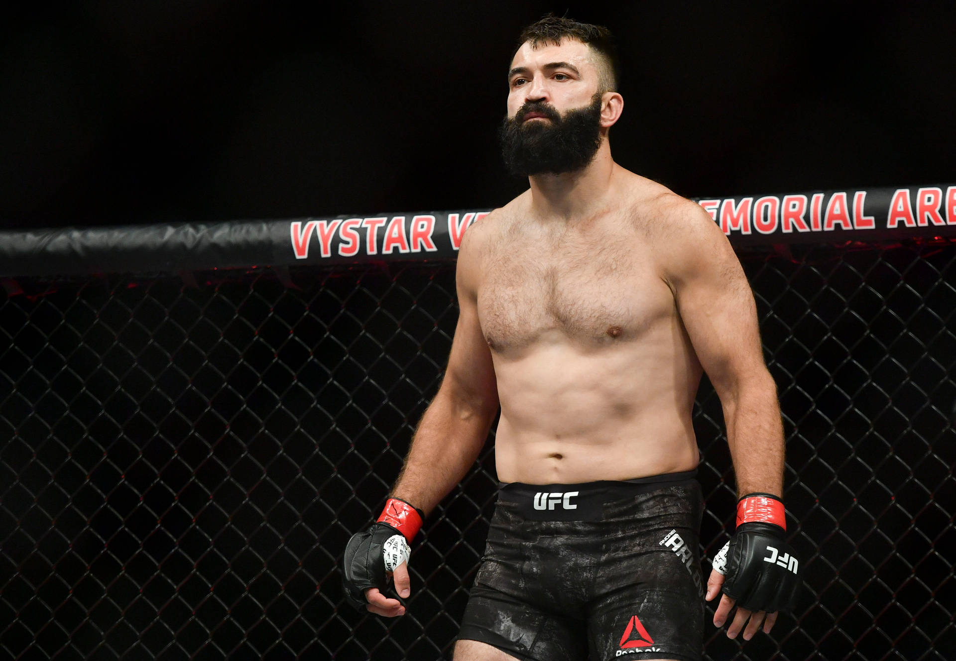 Professional Mixed Martial Artist Andrei Arlovski Background