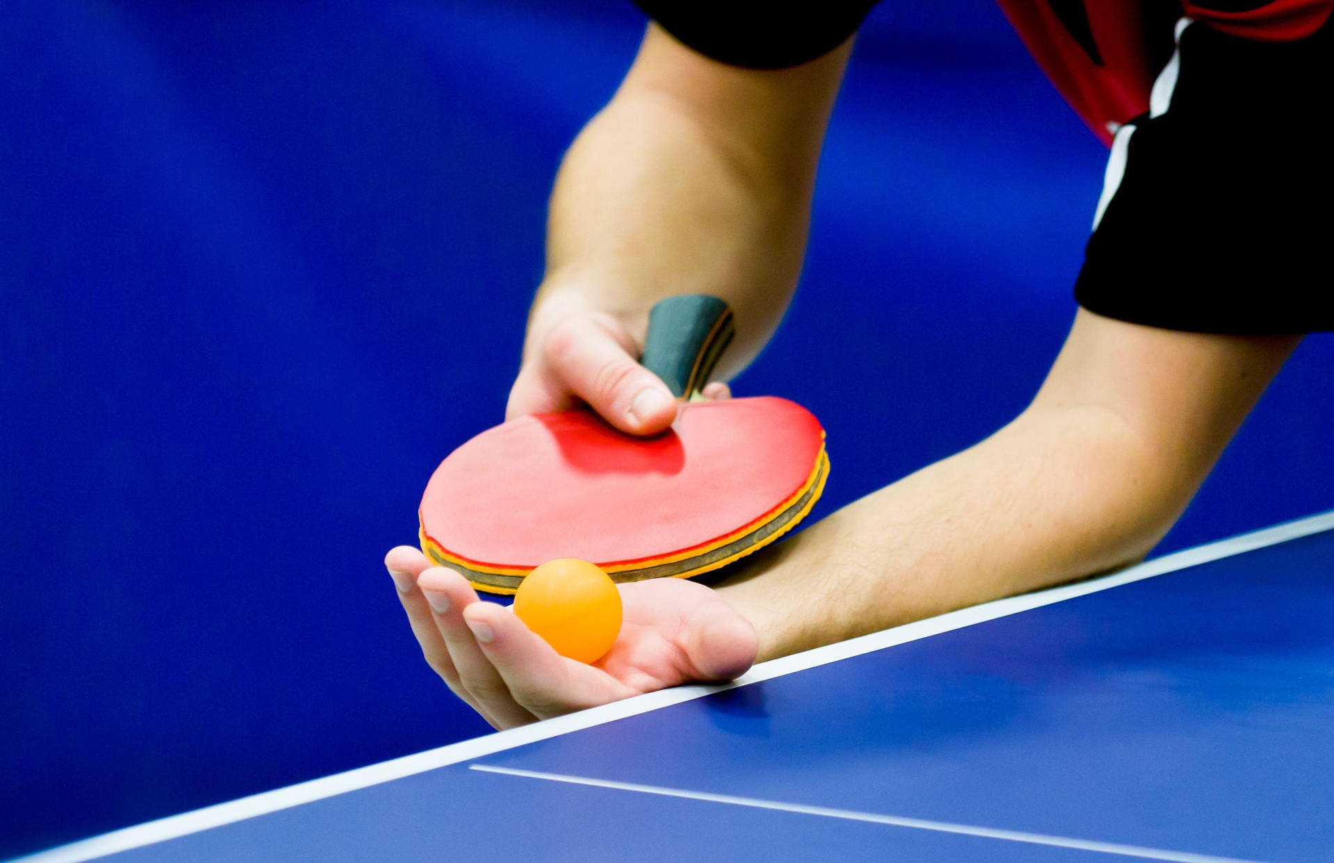 Professional Table Tennis Racket And Ball Background