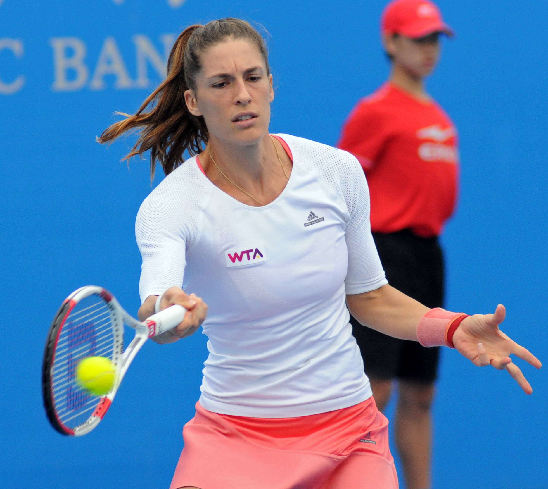 Professional Tennis Player Andrea Petkovic Background