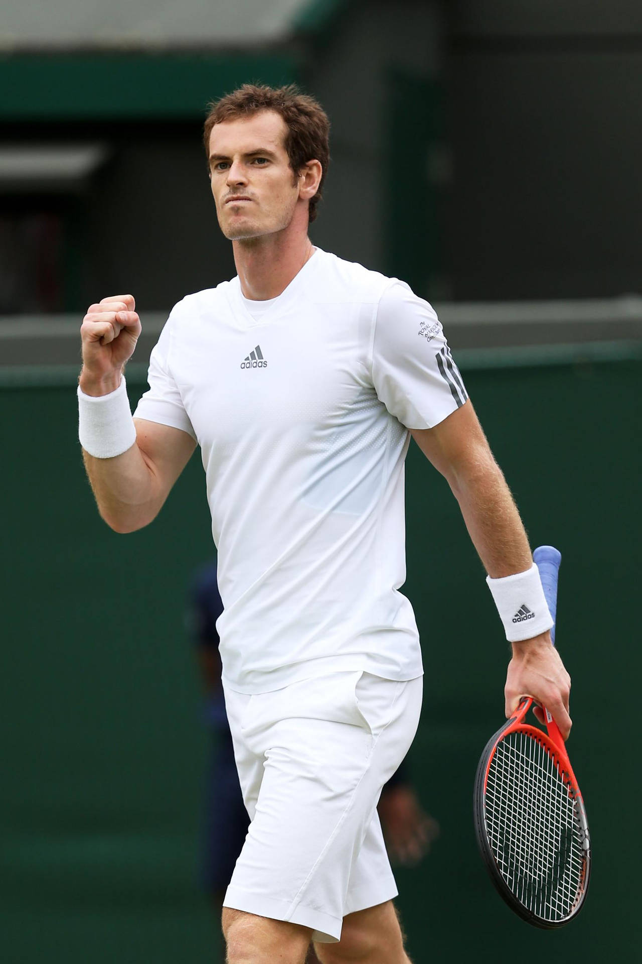 Professional Tennis Player, Andy Murray, Dressed In Full Adidas Sportswear