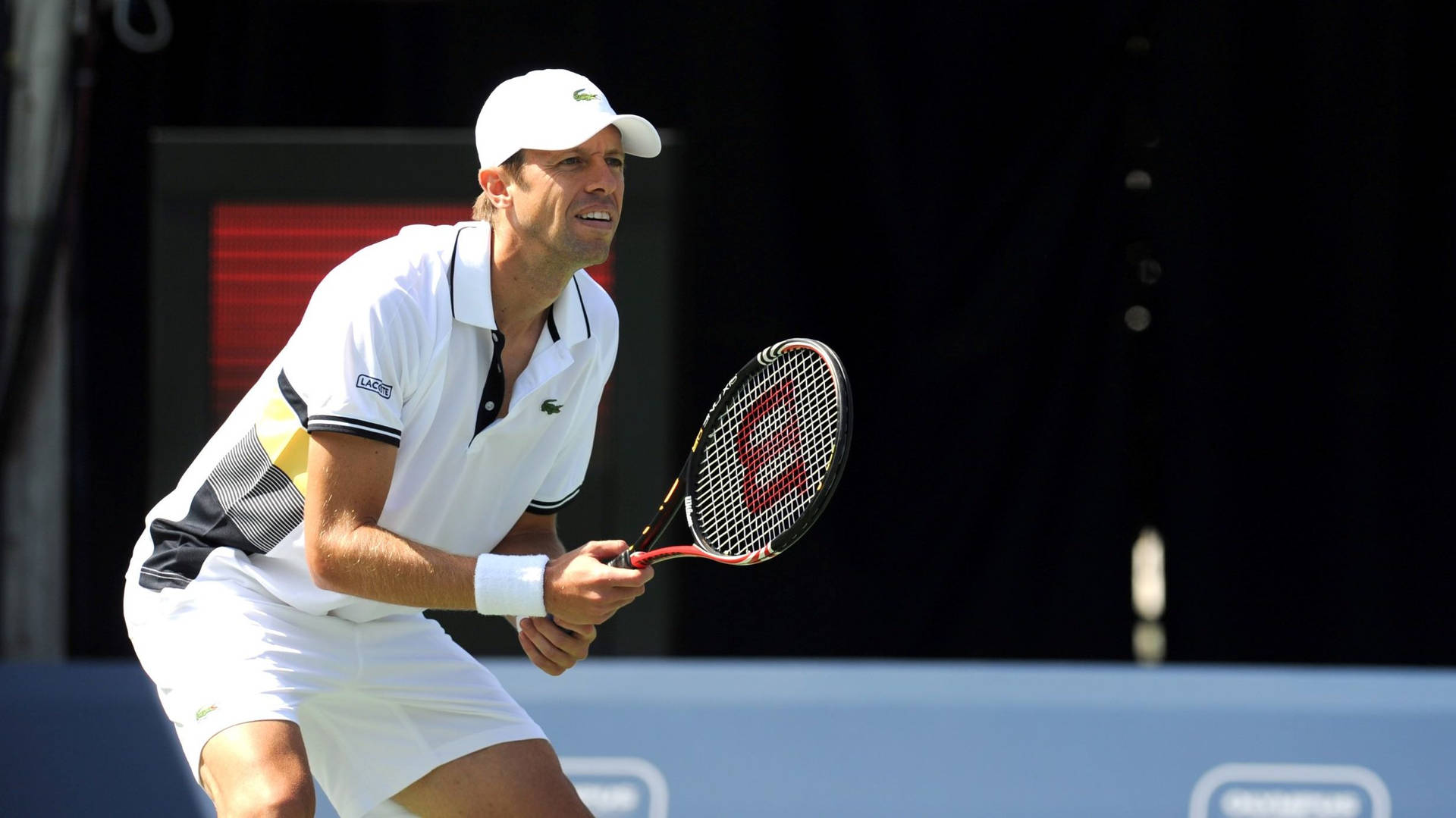 Professional Tennis Player Daniel Nestor Wearing Lacoste Outfit. Background