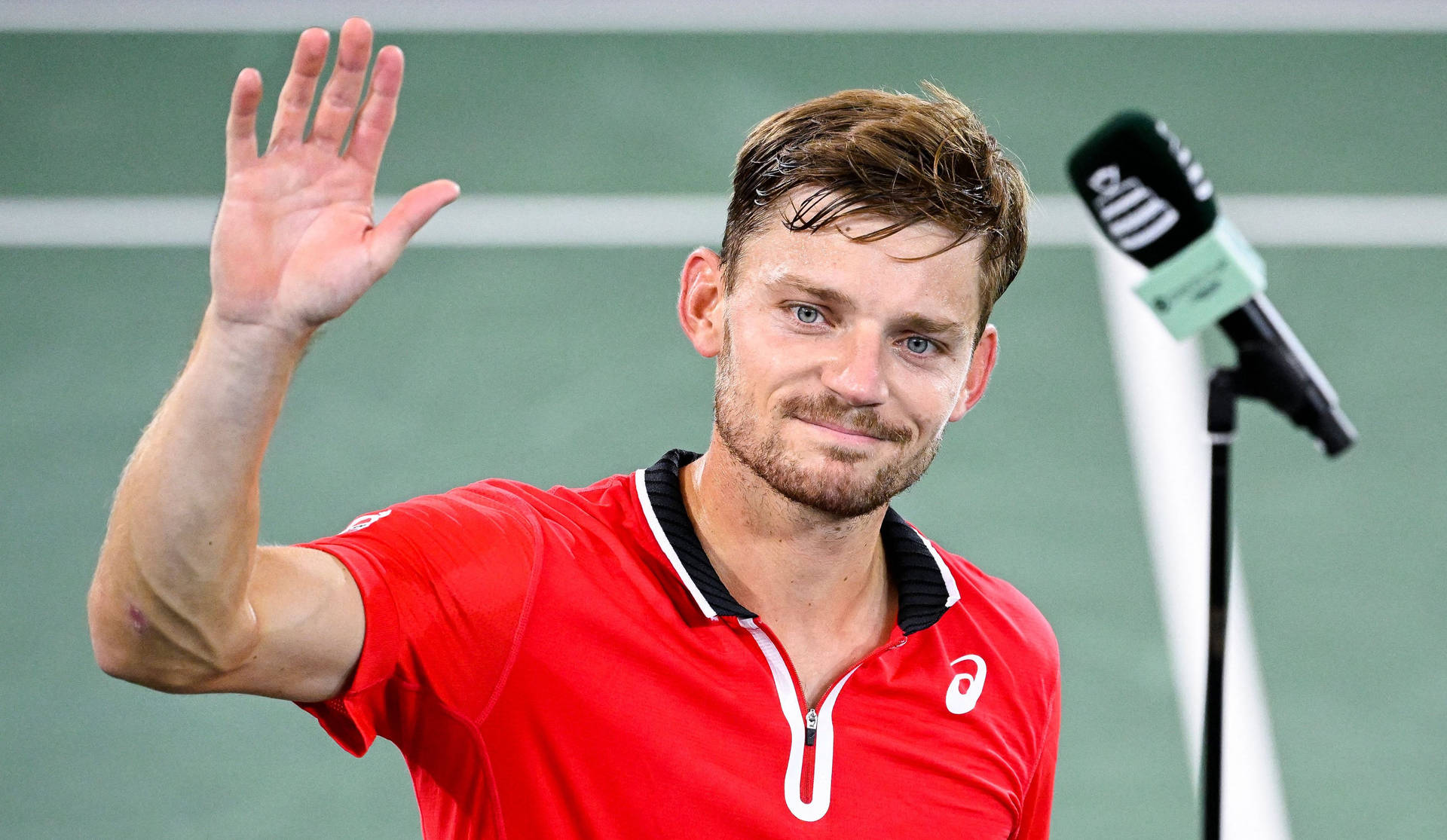 Professional Tennis Player David Goffin Acknowledging Fans Background