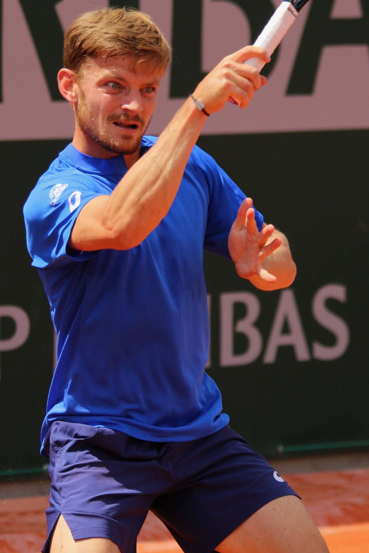 Professional Tennis Player David Goffin, Wearing A Blue Outfit During A Match Background