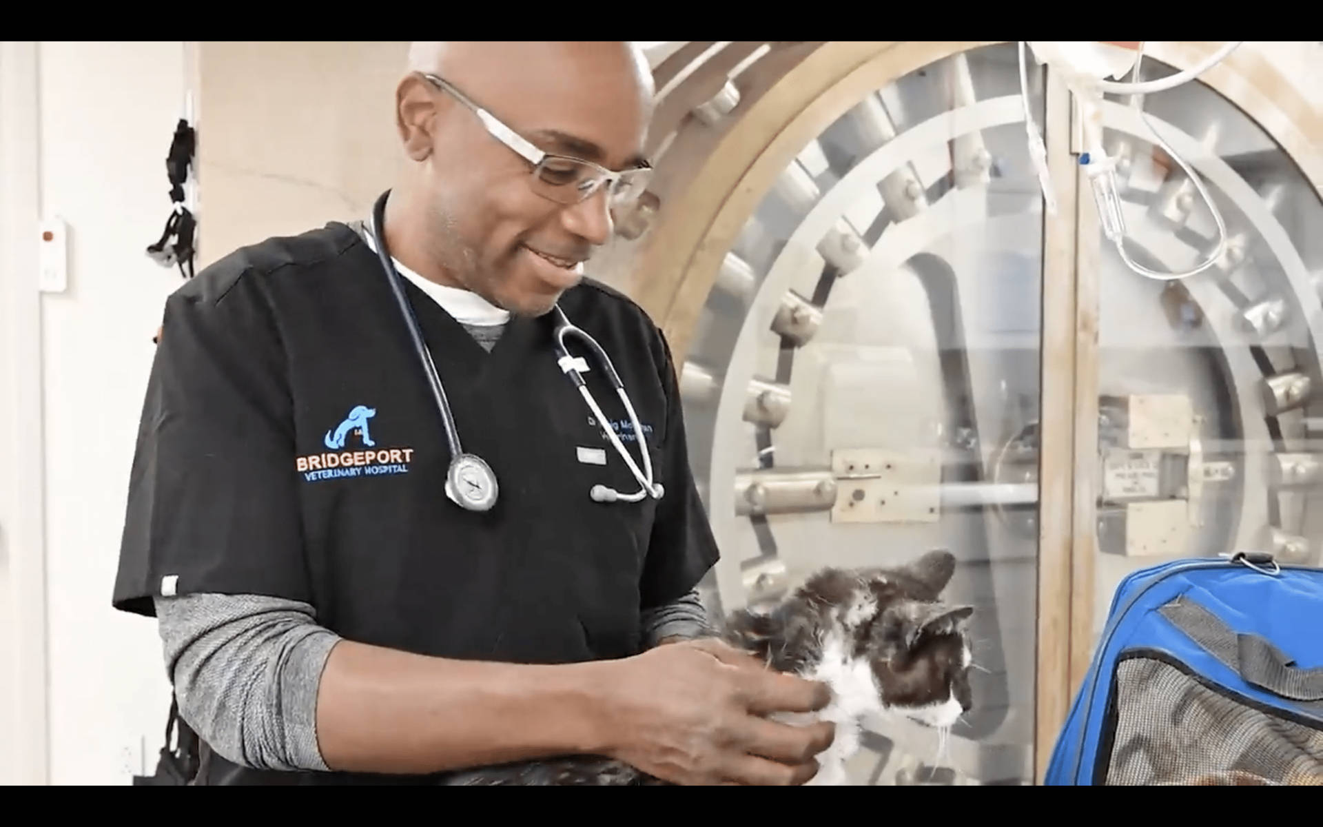 Professional Veterinarians At Bridgeport Veterinary Hospital