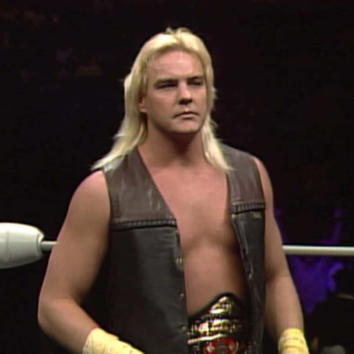 Professional Wrestler Barry Windham Background