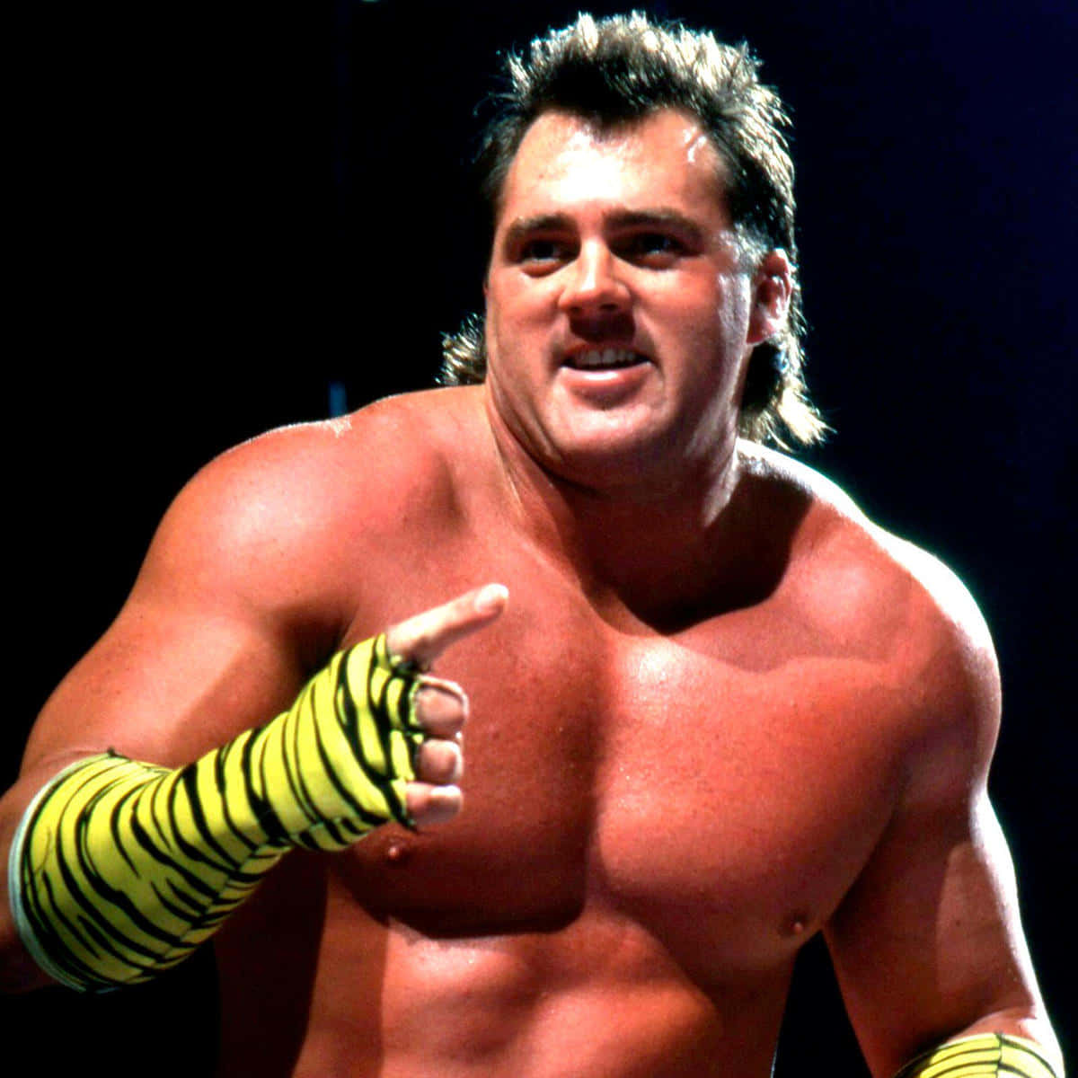 Professional Wrestler Brutus Beefcake Background
