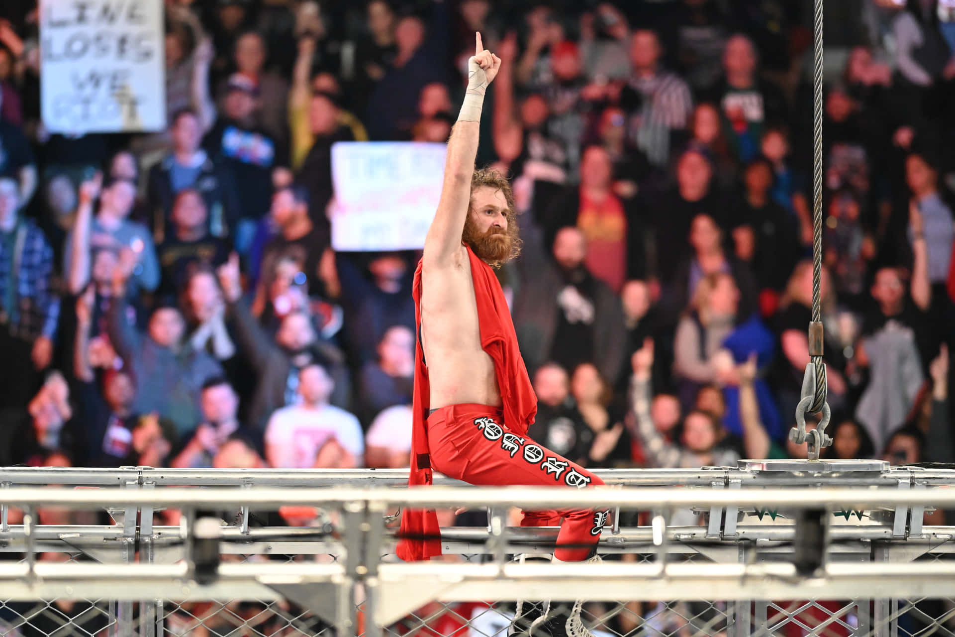 Professional Wrestler Sami Zayn Background