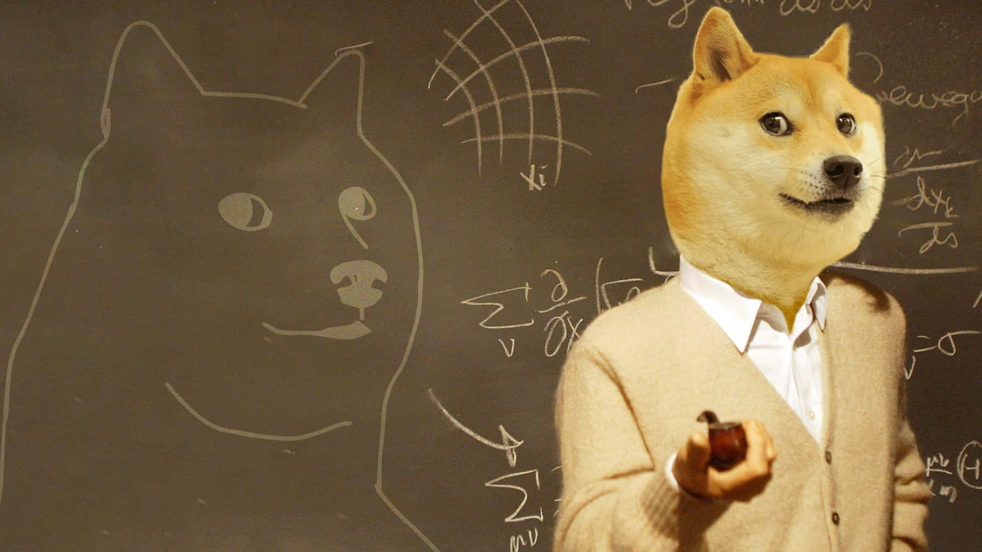 Professor Doge Background