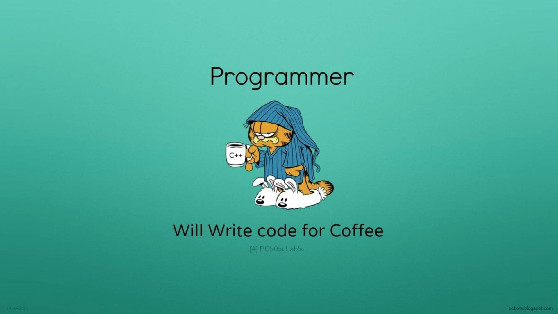 Programmers Try Everything To Get Their Project Finished!