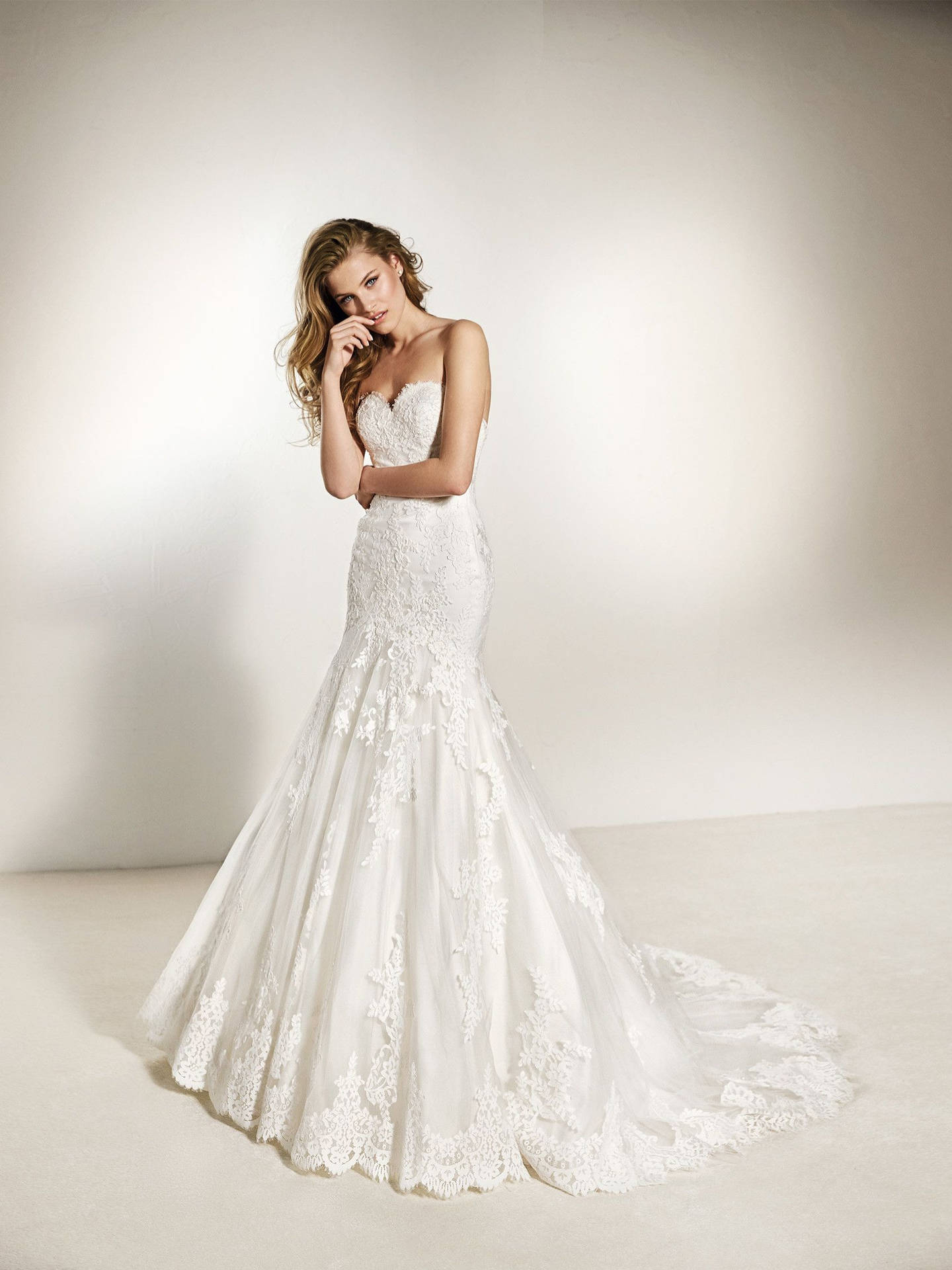 Pronovias Wedding Dress Background