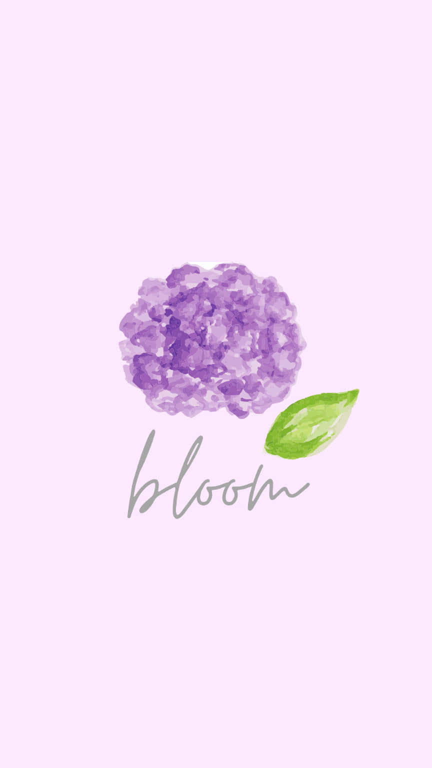 Proper Portrait Bloom Pink Background