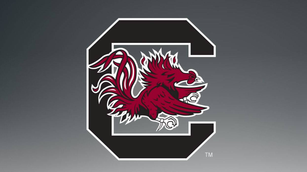 Proud Supporters Of The South Carolina Gamecocks