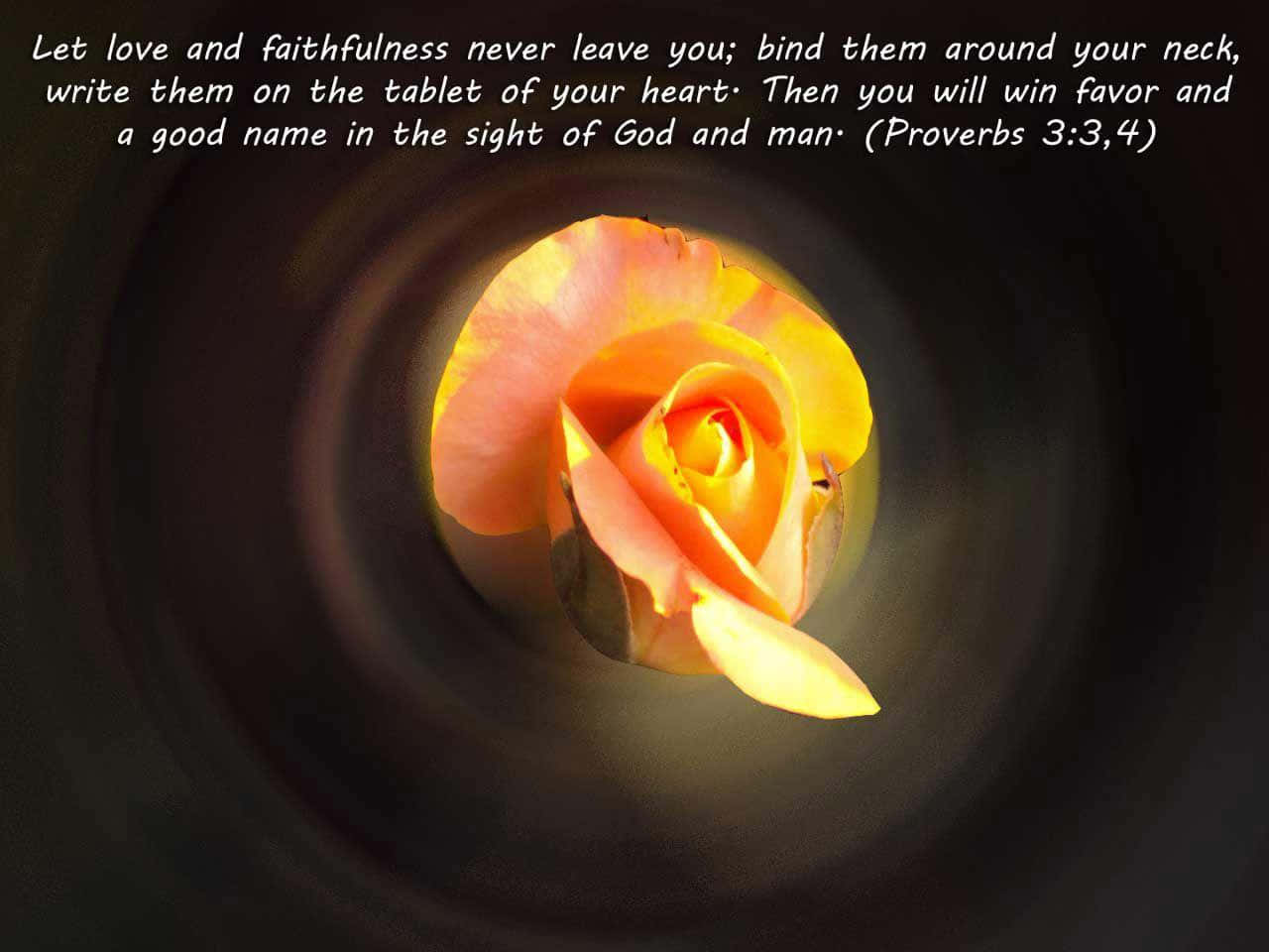 Proverbial Verses On Love And Faithfulness Background