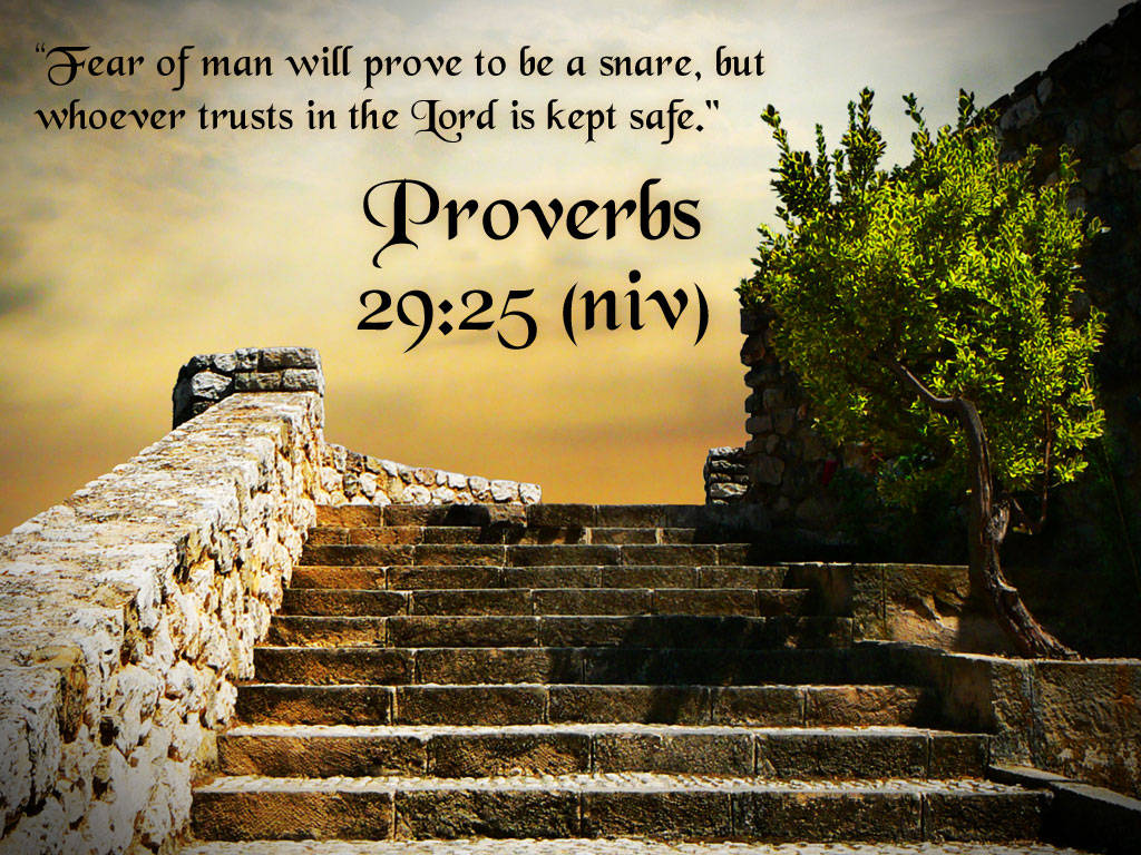 Proverbs 29:25 Bible Verse Laptop Background
