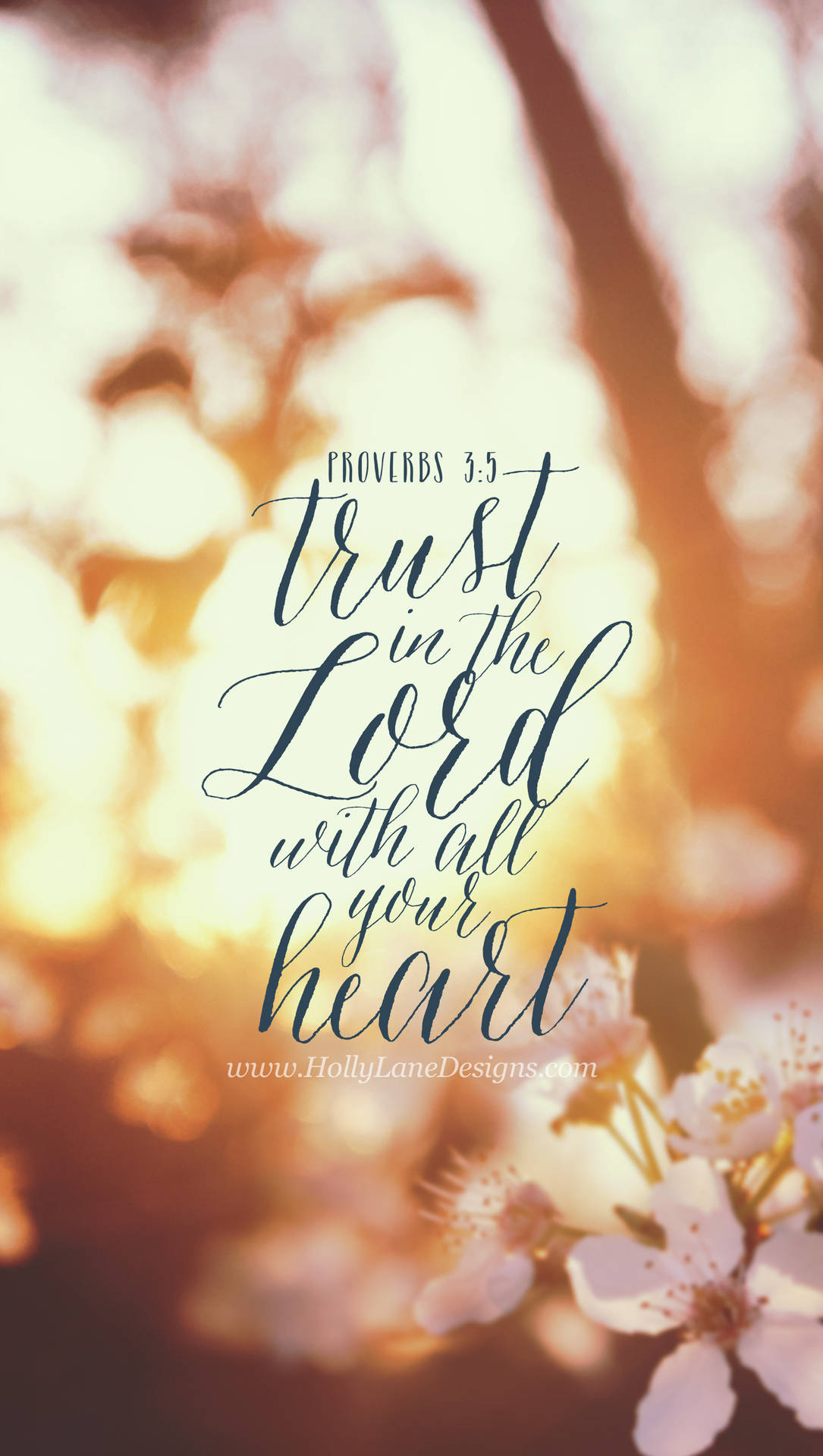 Proverbs 3:5 Versed Background