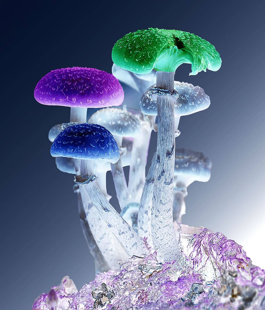 Psychedelic Mushroom Neon Crystals Background