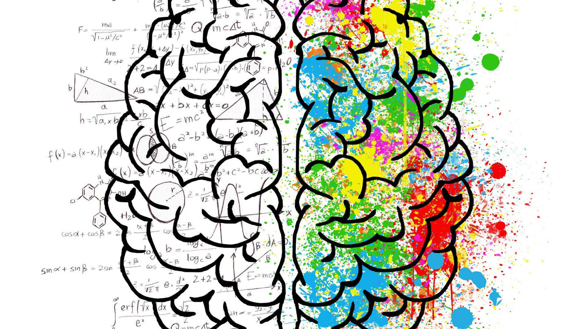 Psychology Colorful Brain Hemisphere Digital Art Background