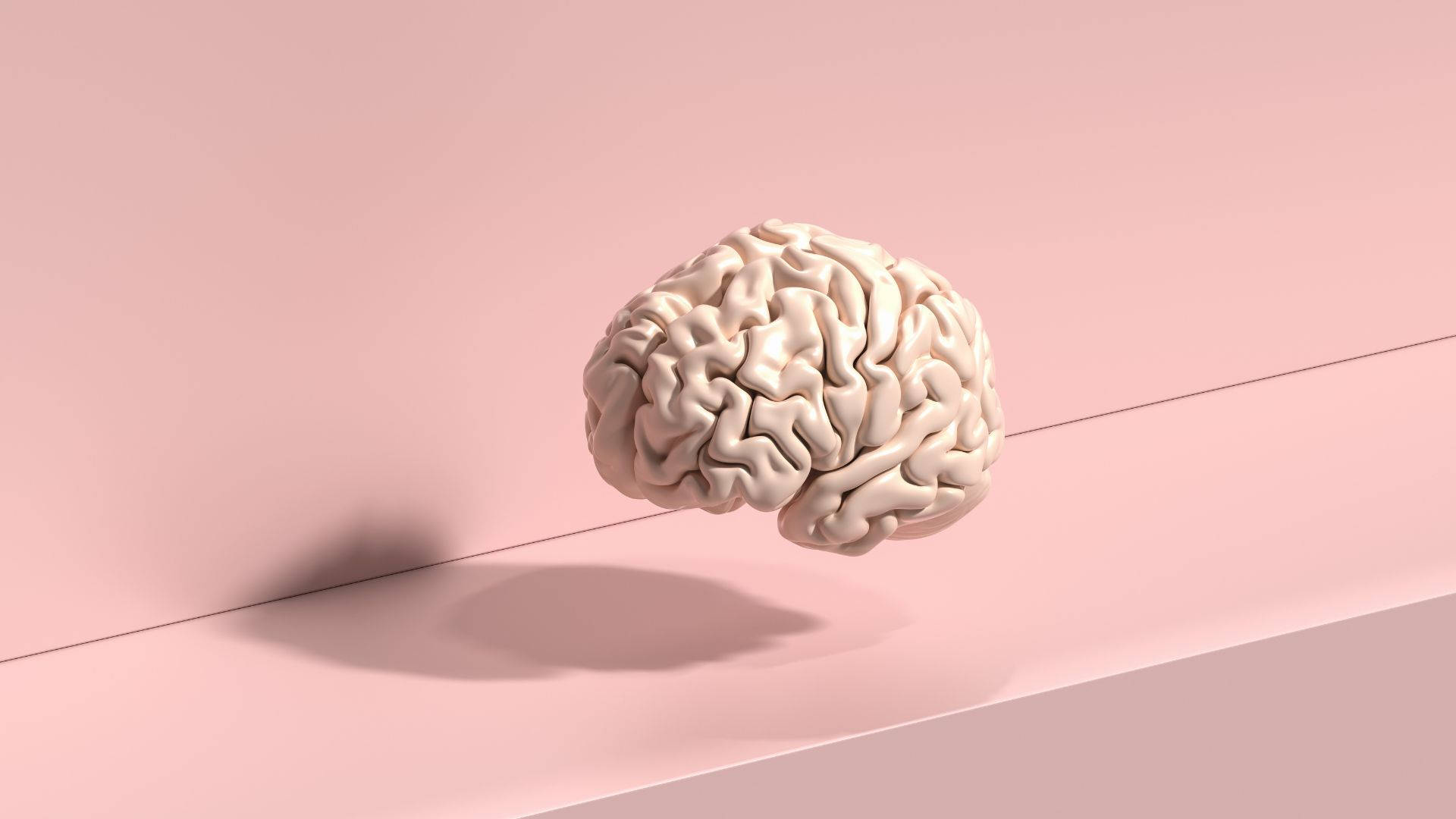 Psychology Human Brain Model