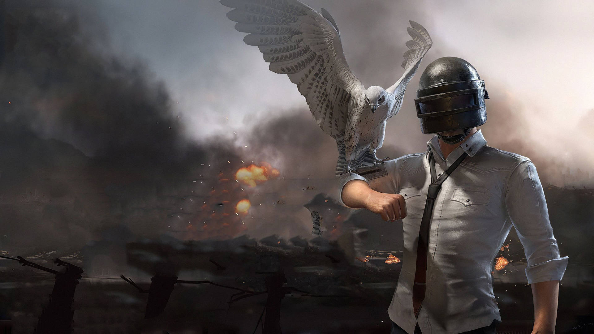 Pubg 2020 Helmet Guy And Bird Background