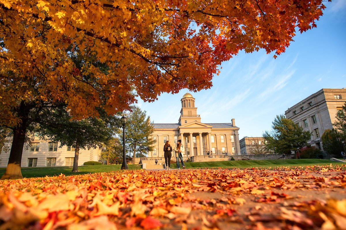 Public Research University Of Iowa Background