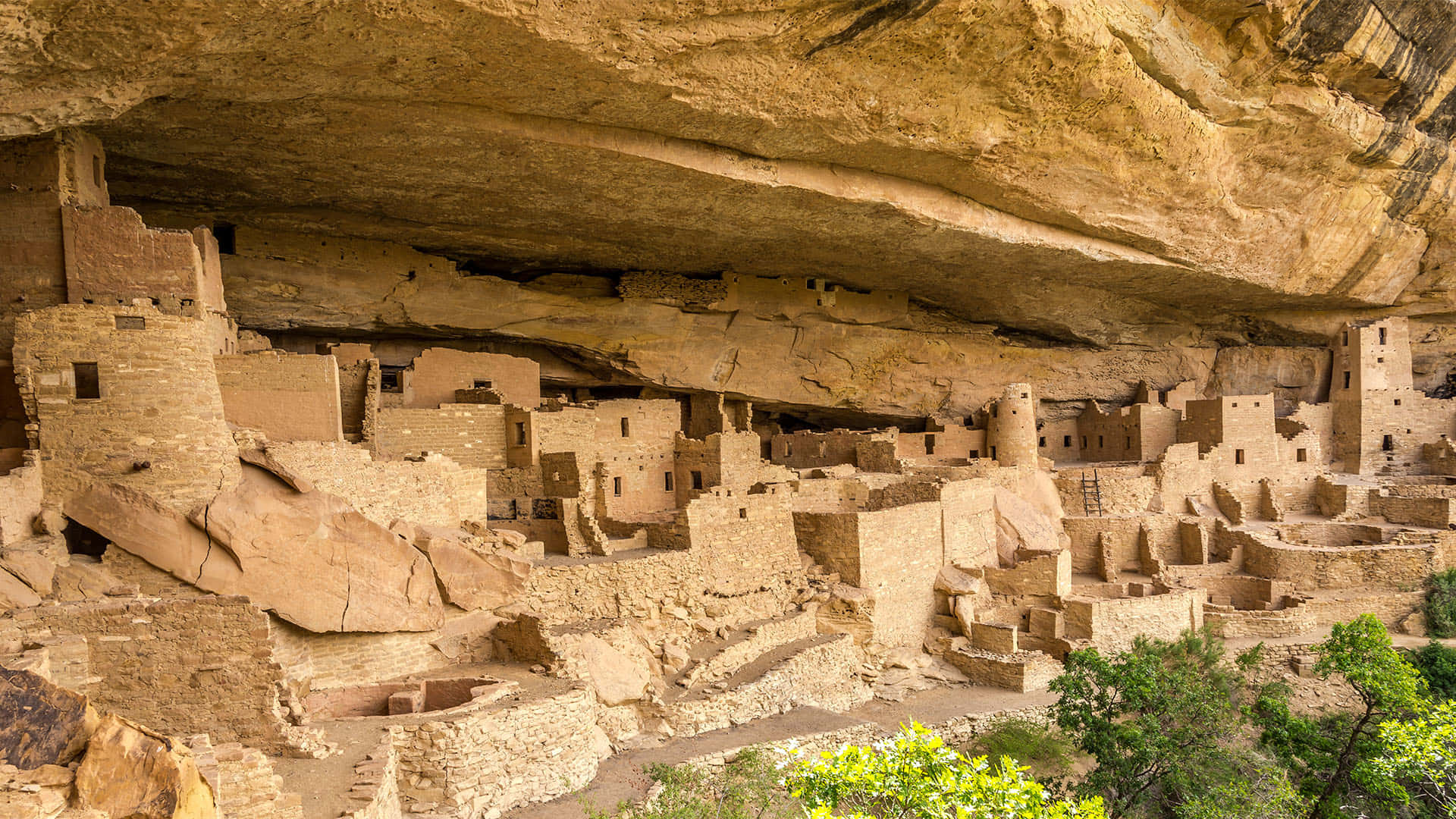 Puebloan Carved Dwelling Mesa Verde National Park Background