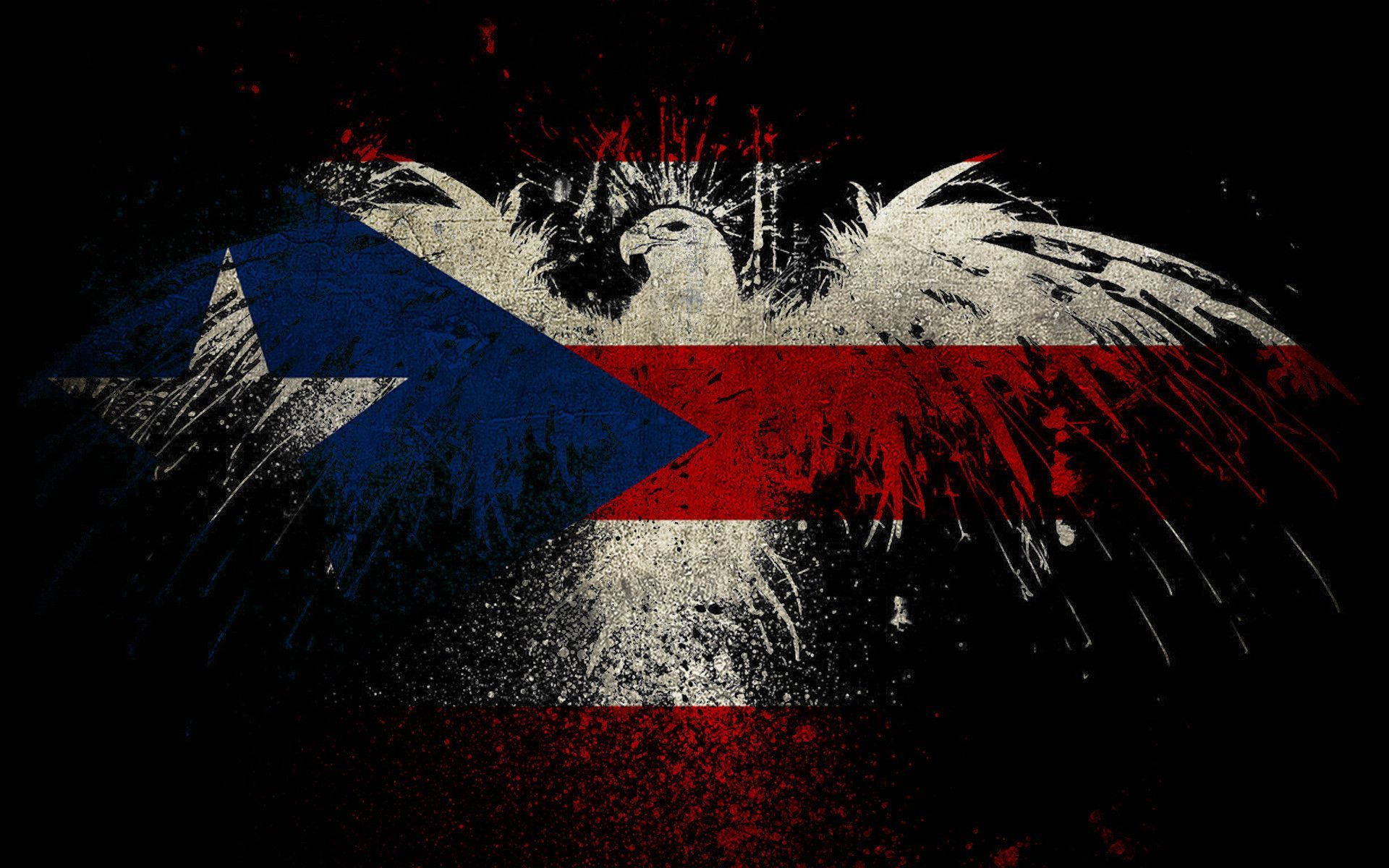 Puerto Rico Iconic Flag Symbolism Background