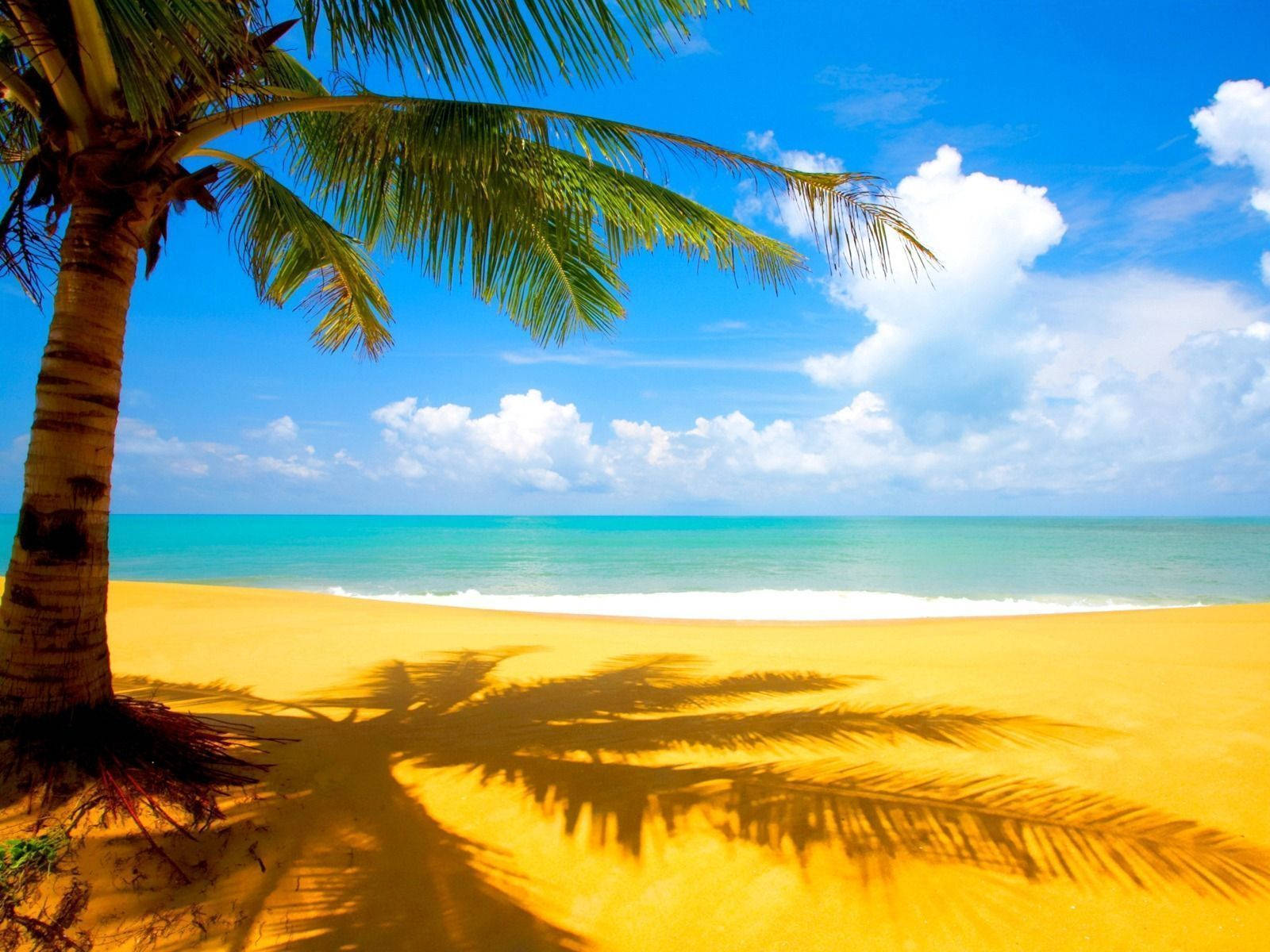 Puerto Rico Relaxing Summer Beach Background