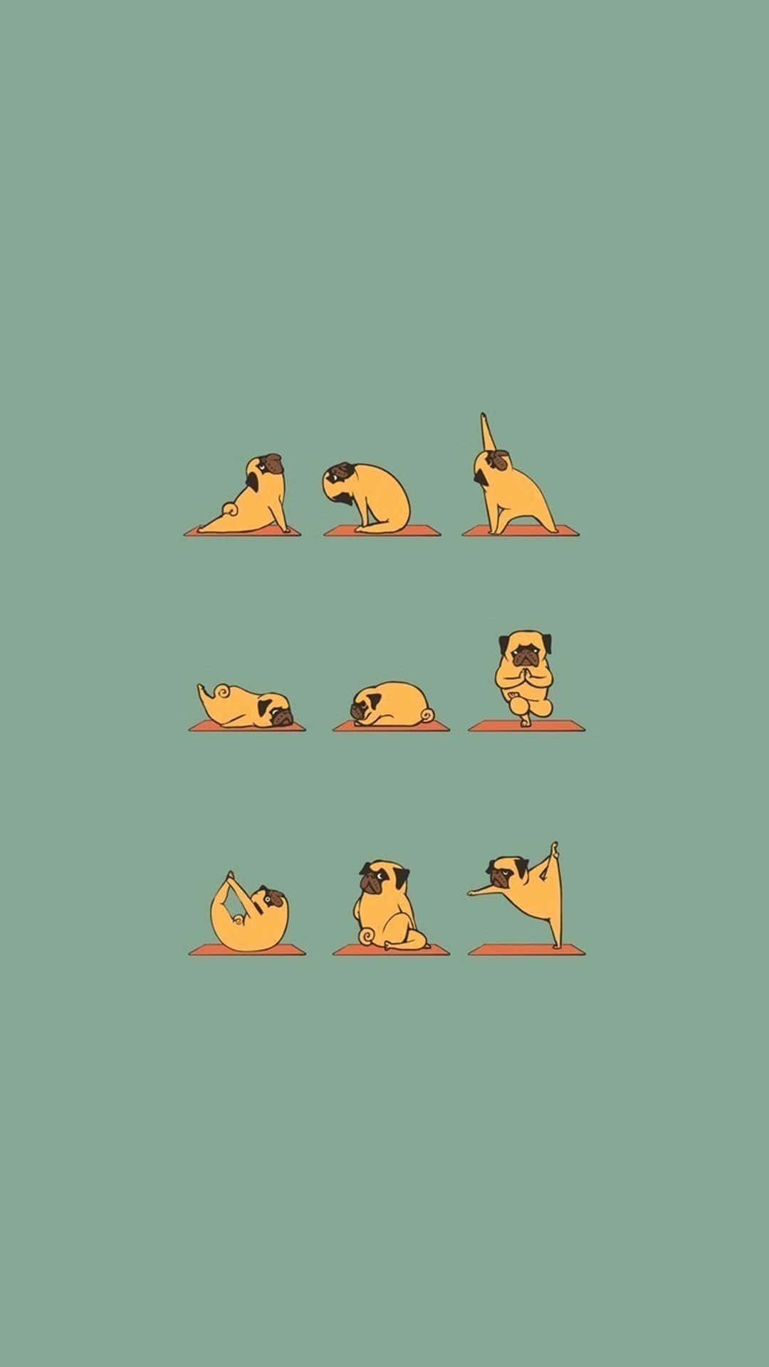 Pug Yoga Positions Wallpaper Background