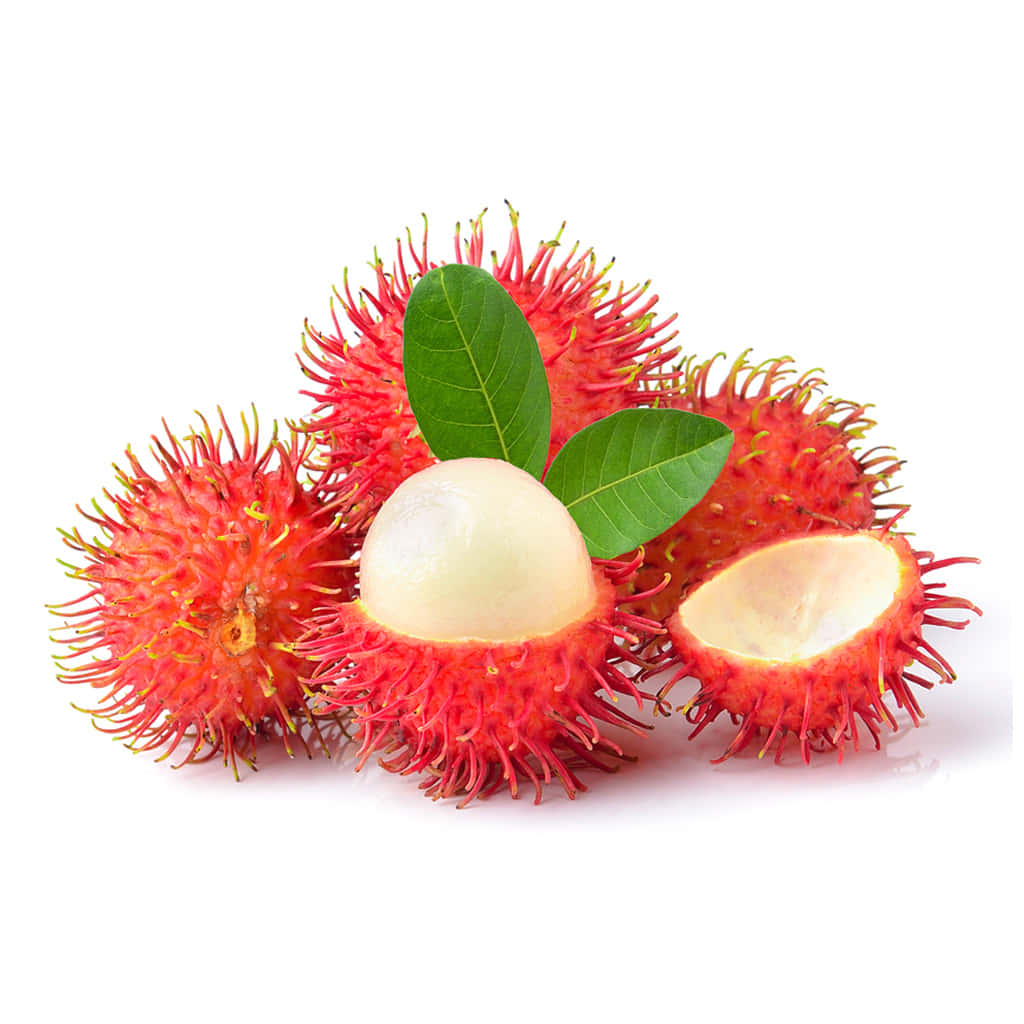 Pulasan Ripe Fruits