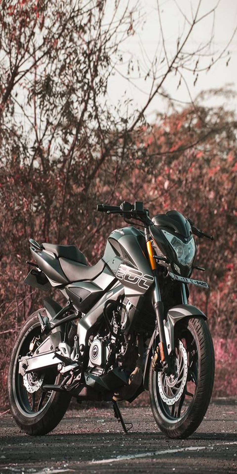 Pulsar 150 On Road Background