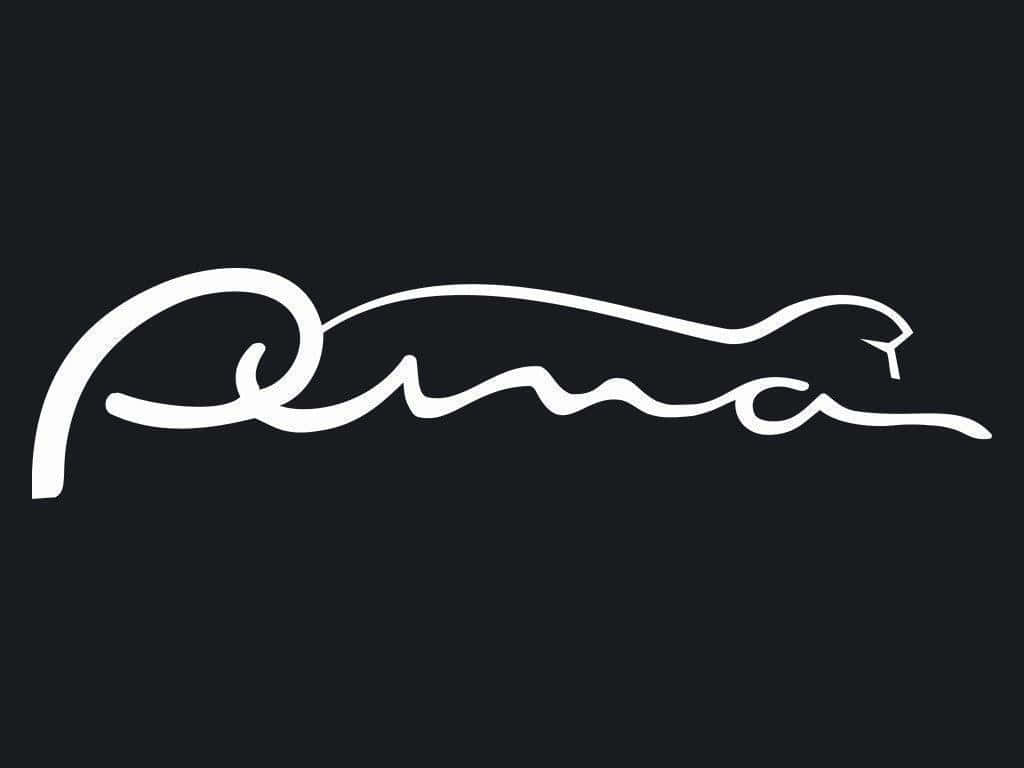 Puma Brand Logo Background