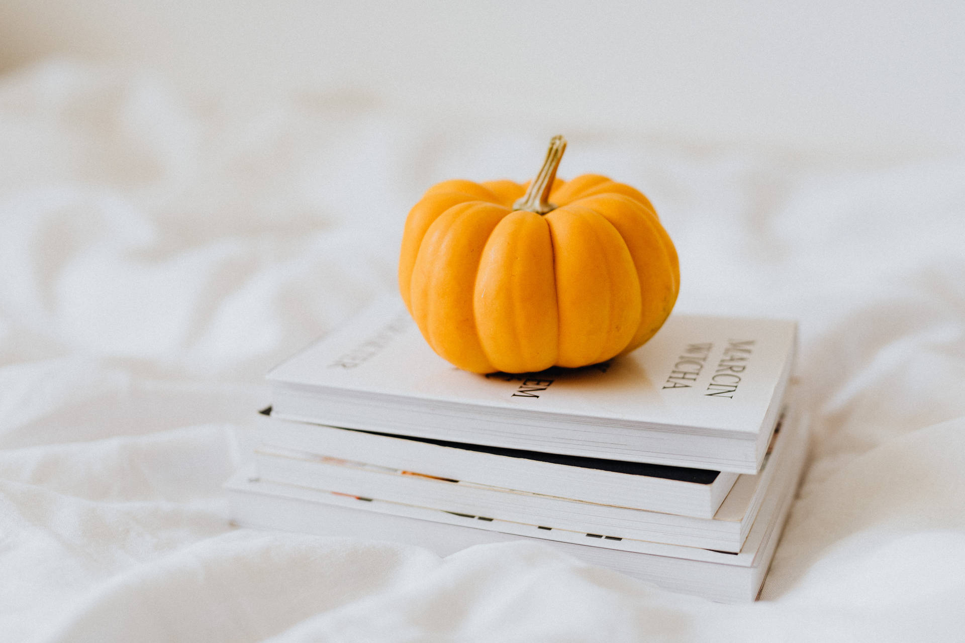 Pumpkin Aesthetic Book Desktop Background