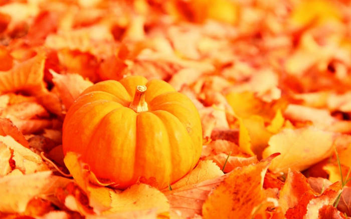 Pumpkin And Dead Leaves Fall Halloween Background