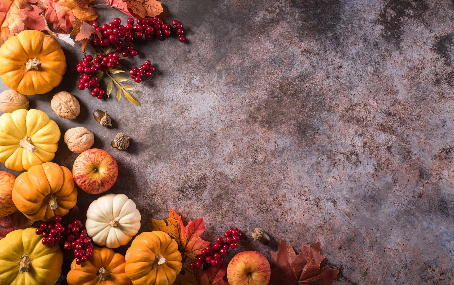 Pumpkin, Berries Decor For Fall Thanksgiving Background